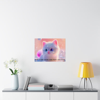 Inspirational Cute Kitten Satin Poster — "Don't Cry Over the Past, It's Gone"