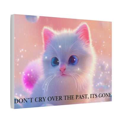 Cute White Kitten Satin Canvas Wall Art – “Don’t Cry Over the Past, It’s Gone” Inspirational Decor