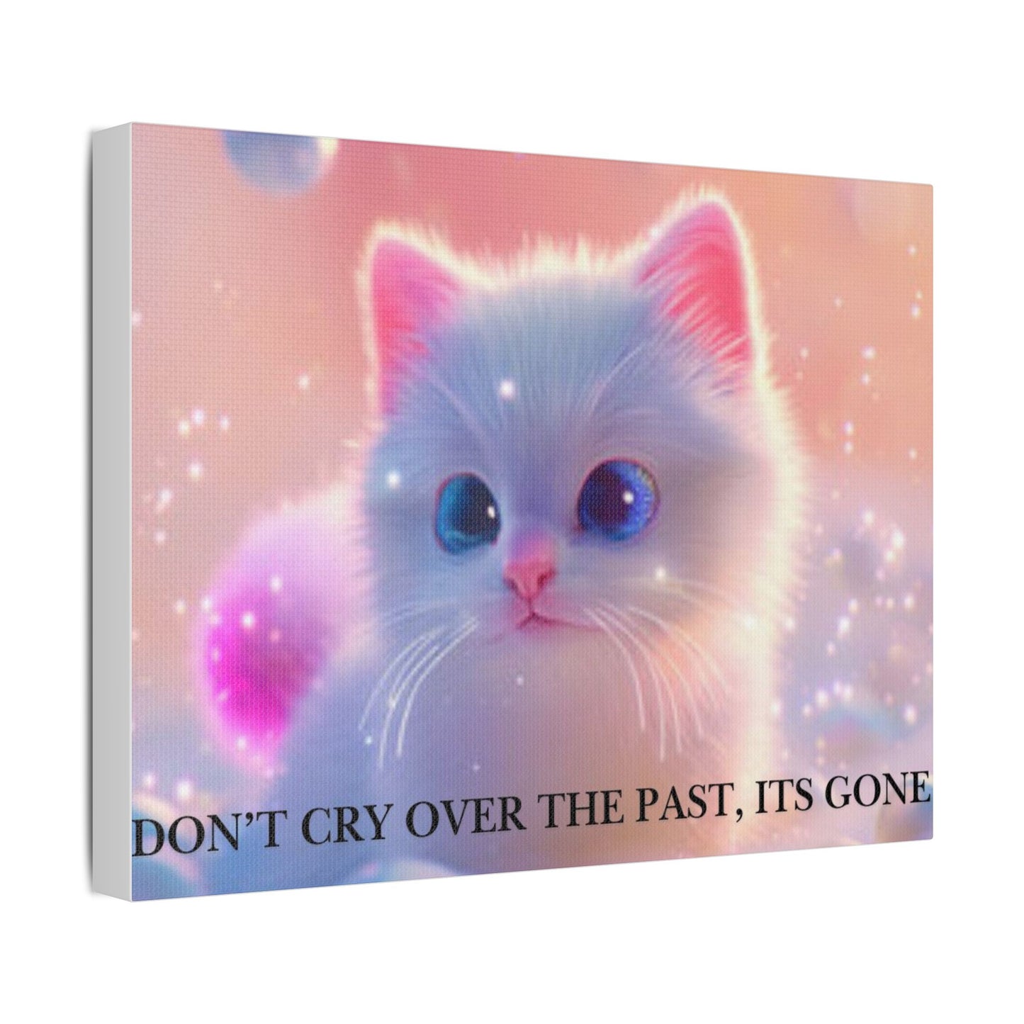 Cute White Kitten Satin Canvas Wall Art – “Don’t Cry Over the Past, It’s Gone” Inspirational Decor