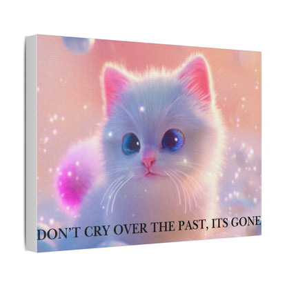 Cute White Kitten Satin Canvas Wall Art – “Don’t Cry Over the Past, It’s Gone” Inspirational Decor