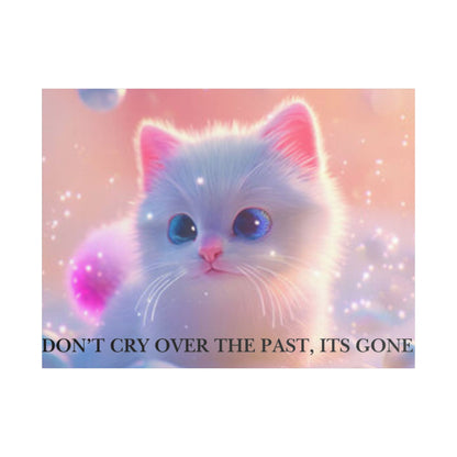 Cute White Kitten Satin Canvas Wall Art – “Don’t Cry Over the Past, It’s Gone” Inspirational Decor