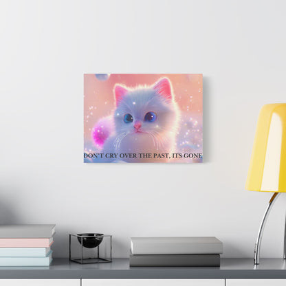 Cute White Kitten Satin Canvas Wall Art – “Don’t Cry Over the Past, It’s Gone” Inspirational Decor
