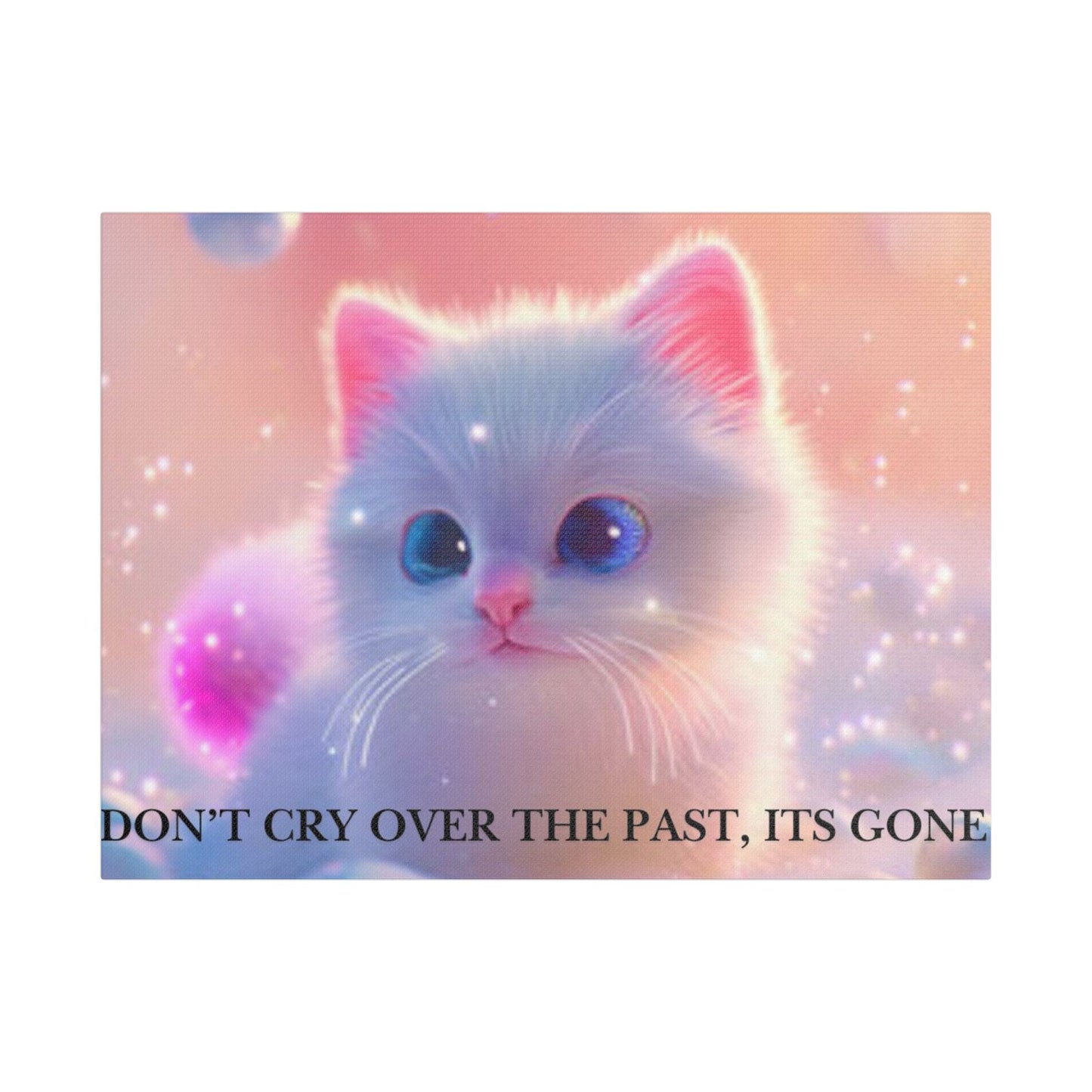 Cute White Kitten Satin Canvas Wall Art – “Don’t Cry Over the Past, It’s Gone” Inspirational Decor