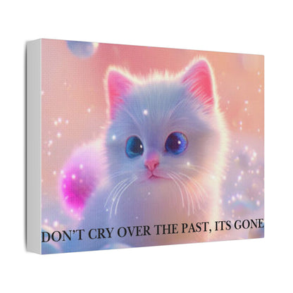 Cute White Kitten Satin Canvas Wall Art – “Don’t Cry Over the Past, It’s Gone” Inspirational Decor