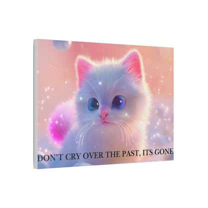 Cute White Kitten Satin Canvas Wall Art – “Don’t Cry Over the Past, It’s Gone” Inspirational Decor