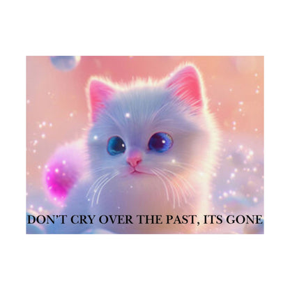 Inspirational Cute Kitten Satin Poster — "Don't Cry Over the Past, It's Gone"