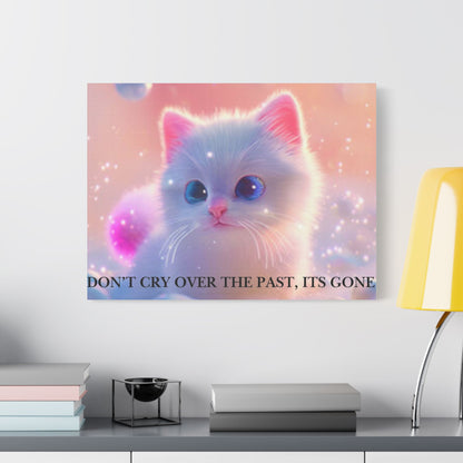 Cute White Kitten Satin Canvas Wall Art – “Don’t Cry Over the Past, It’s Gone” Inspirational Decor