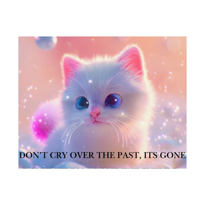 Inspirational Cute Kitten Satin Poster — "Don't Cry Over the Past, It's Gone"